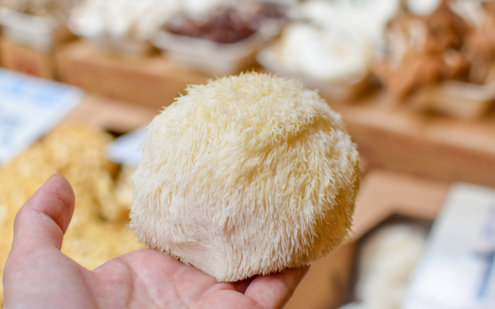a-guide-to-lions-mane-720x450
