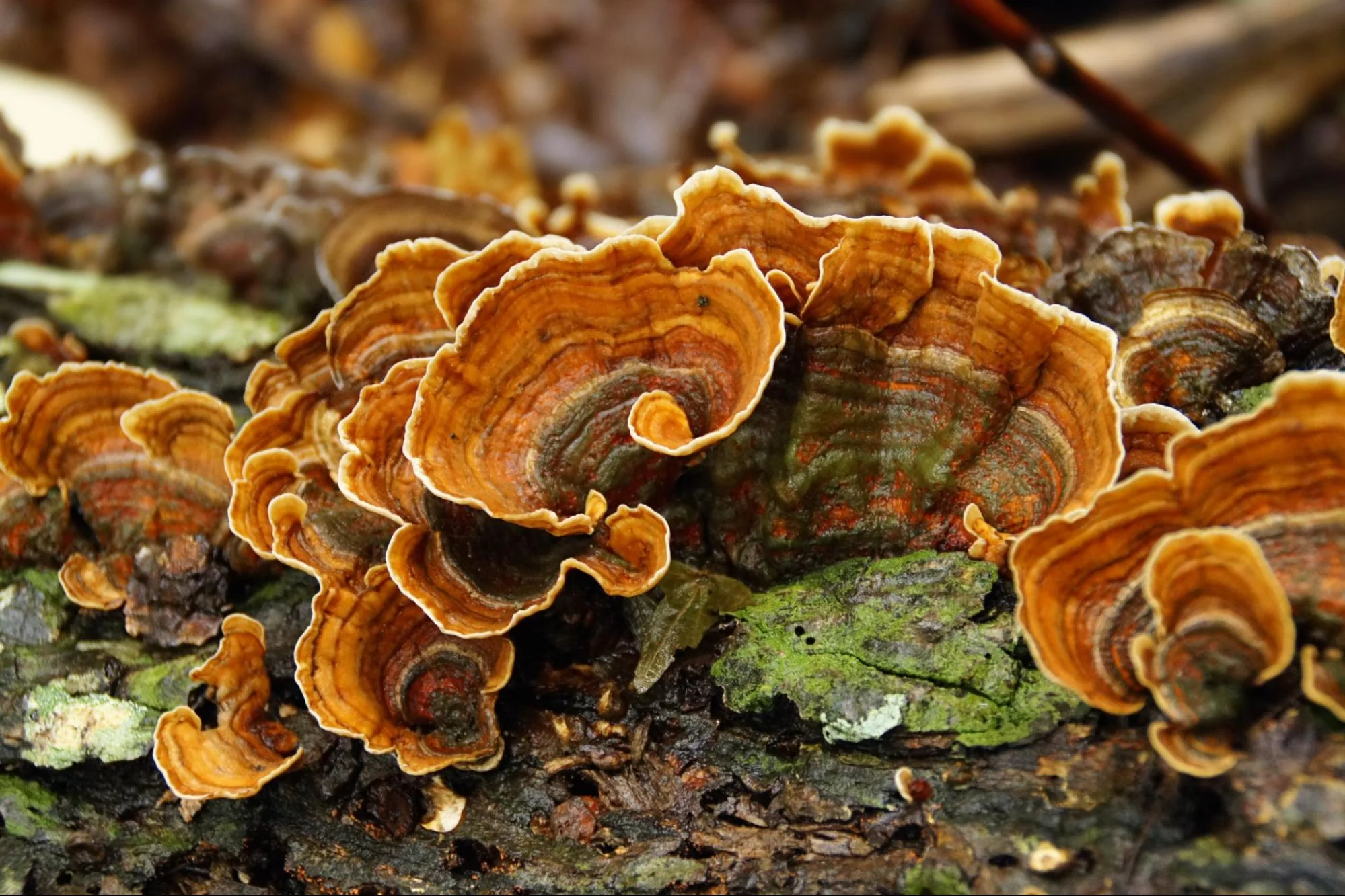 image1_15bd9cc0-b2f9-4cda-a1b2-c1712837456d