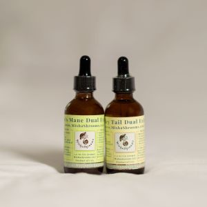 Lion’s Mane + Turkey Tail